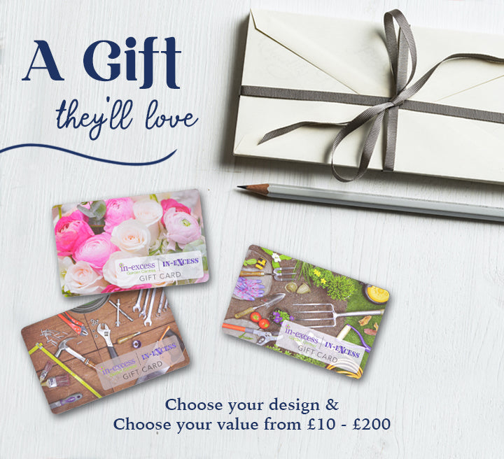 In-Excess Gift Cards - 3 Designs Available