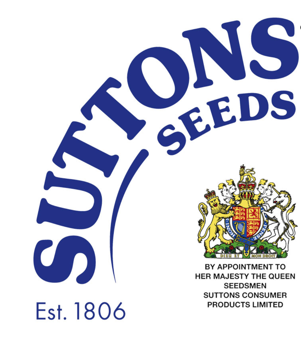 Suttons Carrot Seeds - 2 Varieties