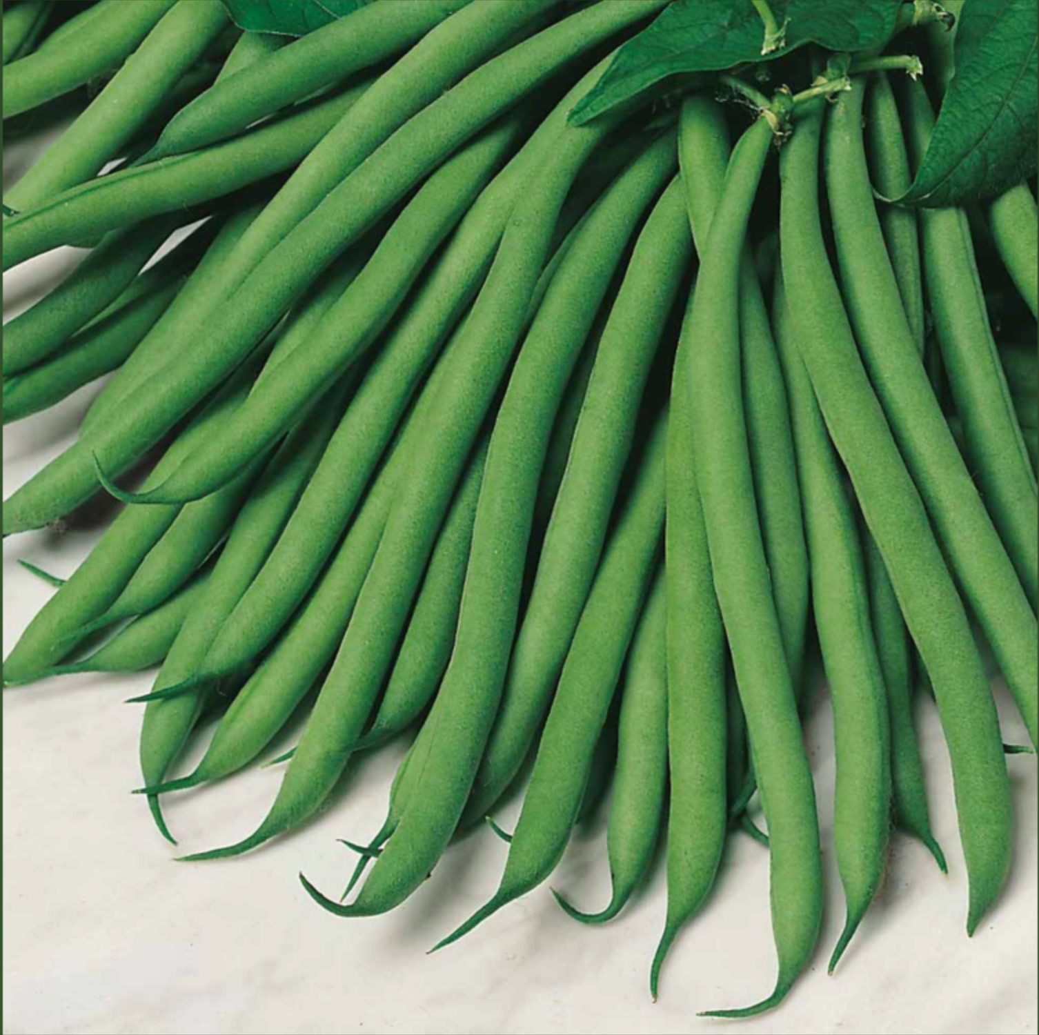 Suttons French Bean Seeds - 4 Varieties
