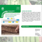 Suttons Broad Bean Seeds - 3 Varieties