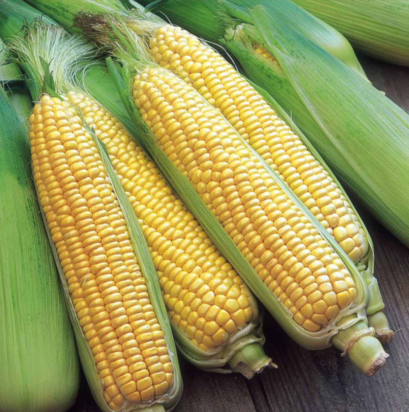 Suttons Sweet Corn Seeds - 2 Varieties