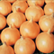 Suttons Onions Seeds - 3 Varieties