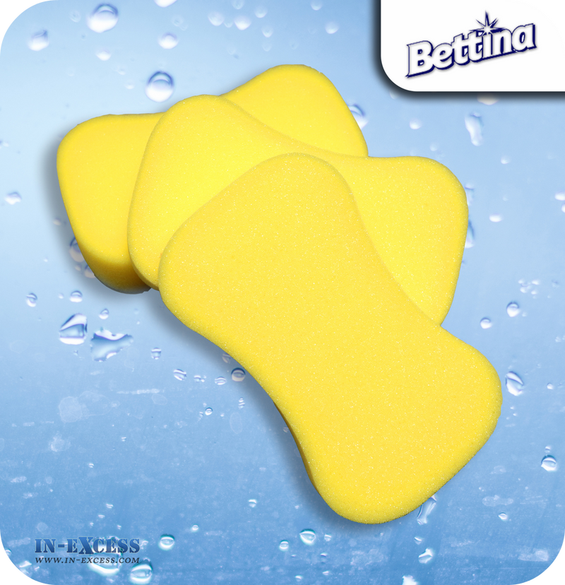 Bettina Car Sponges - Pack of 3