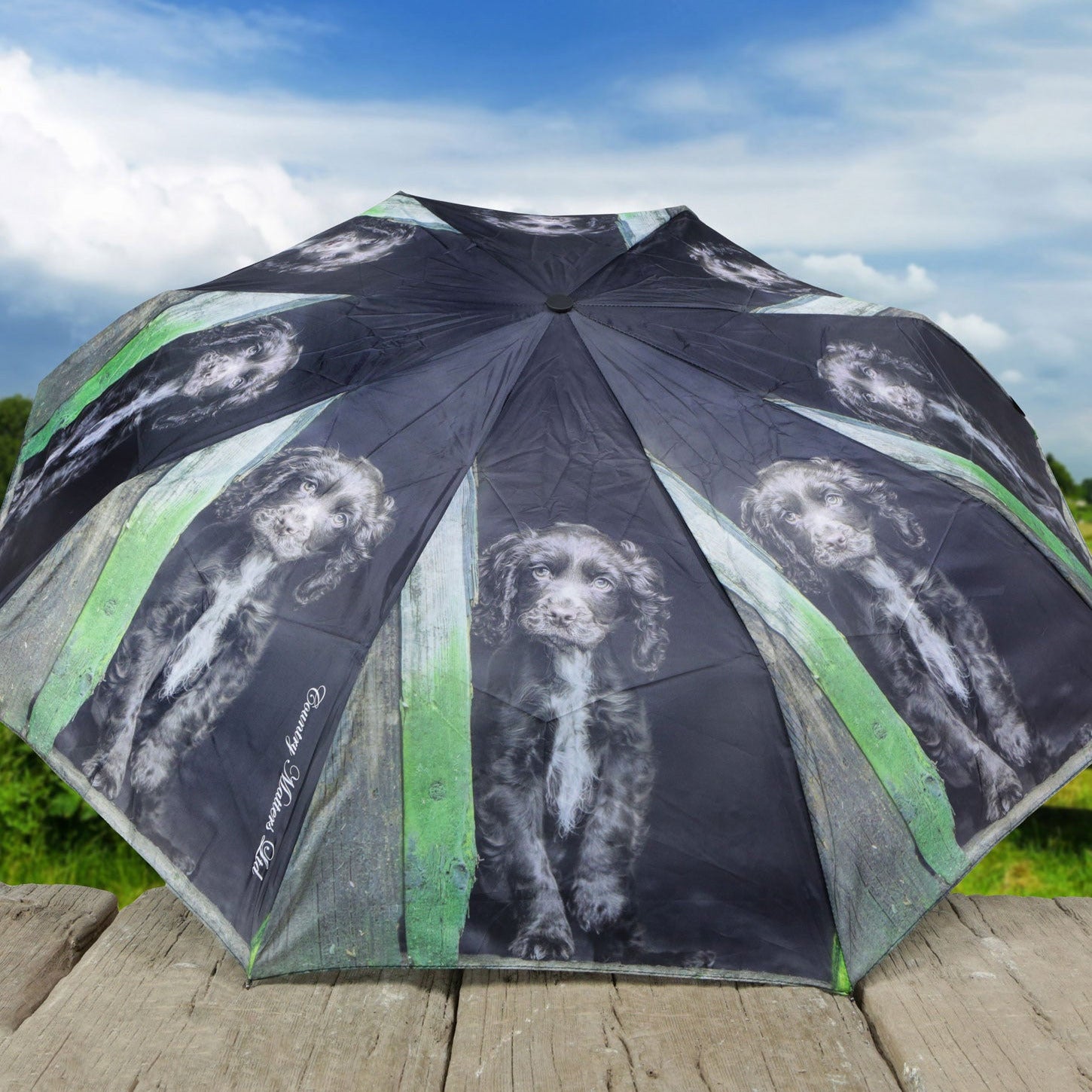 Country Matters Telescopic and Folding Umbrella - 'Coco Choc Cocker'