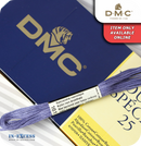 DMC Mouliné Special 25 Cotton Thread - Pack of 16 Skeins (161 Petrol Blue)