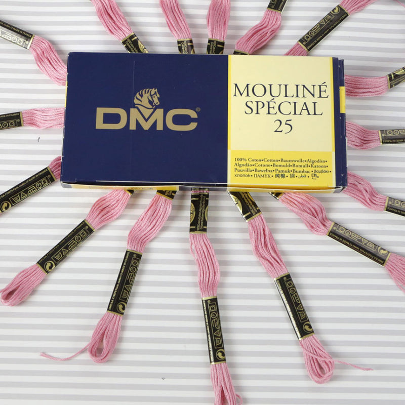 DMC Mouliné Special 25 Cotton Thread - Pack of 16 Skeins (3354 Dusty Rose)