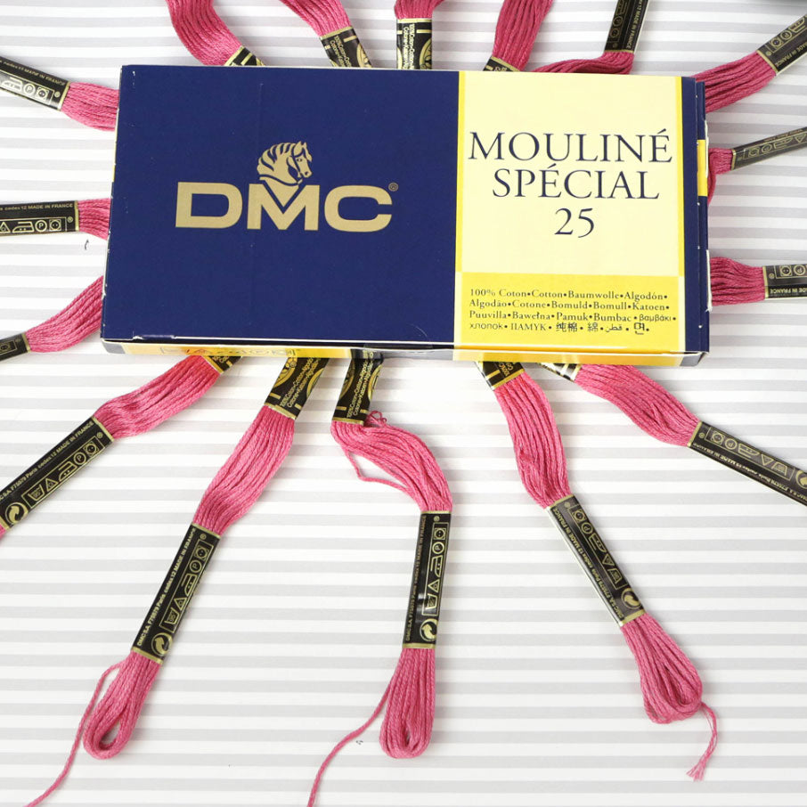 DMC Mouliné Special 25 Cotton Thread - Pack of 16 Skeins (3731 Dusty Rose)