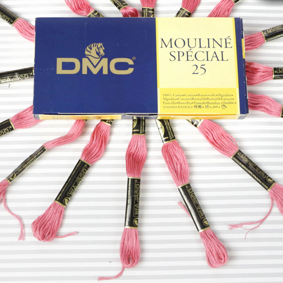 DMC Mouliné Special 25 Cotton Thread - Pack of 16 Skeins (3833 Raspberry)