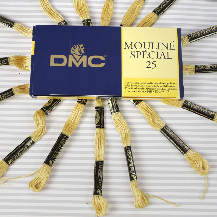 DMC Mouliné Special 25 Cotton Thread - Pack of 16 Skeins (676 Old Gold)