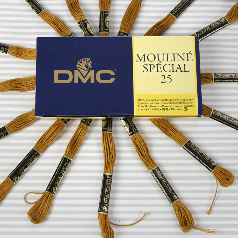 DMC Mouliné Special 25 Cotton Thread - Pack of 16 Skeins (782 Dark Topaz)