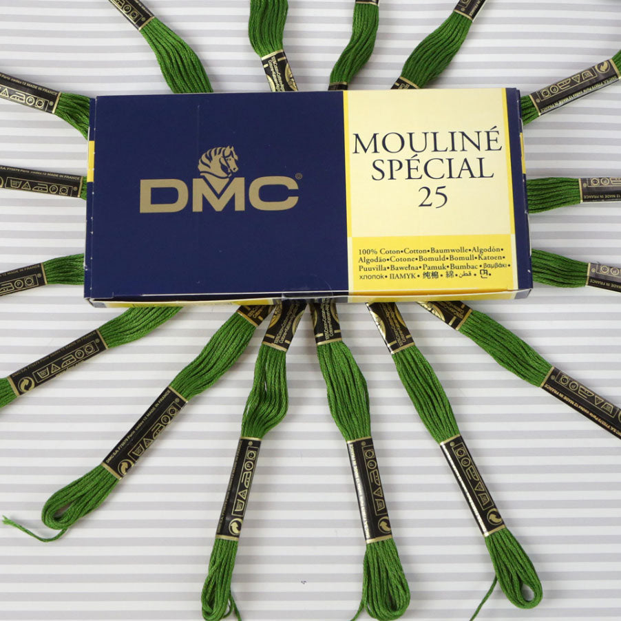 DMC Mouliné Special 25 Cotton Thread - Pack of 16 Skeins (904 Parrot Green)