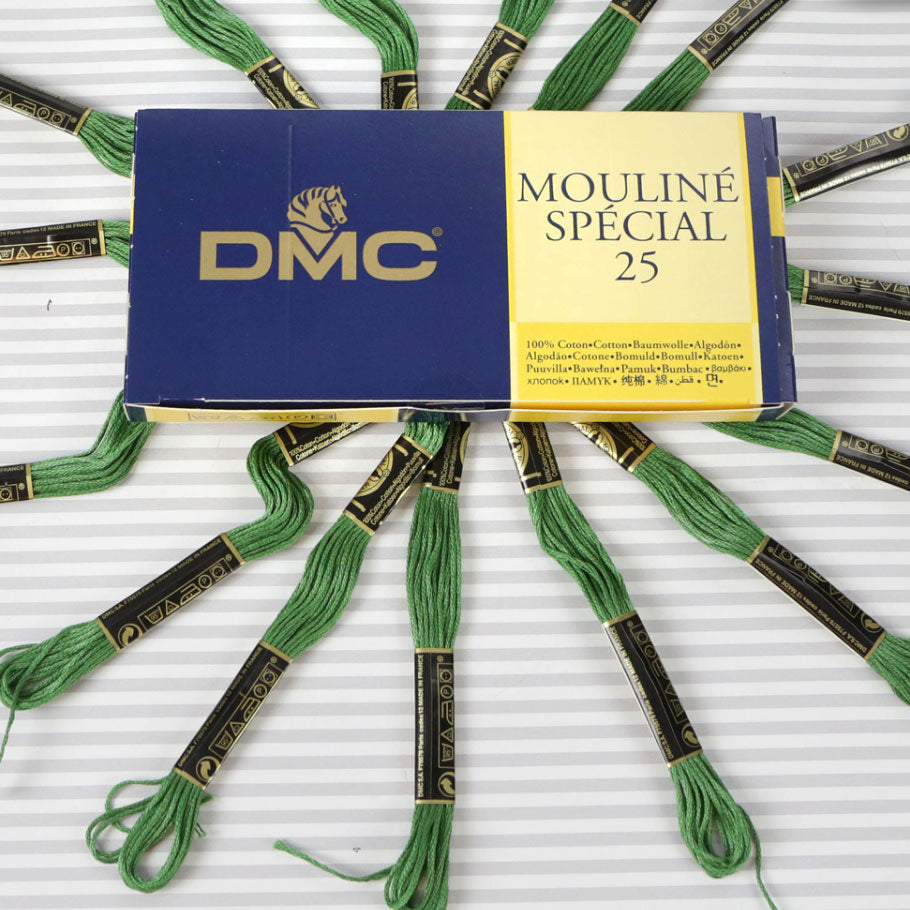 DMC Mouliné Special 25 Cotton Thread - Pack of 16 Skeins (987 Forest Green)