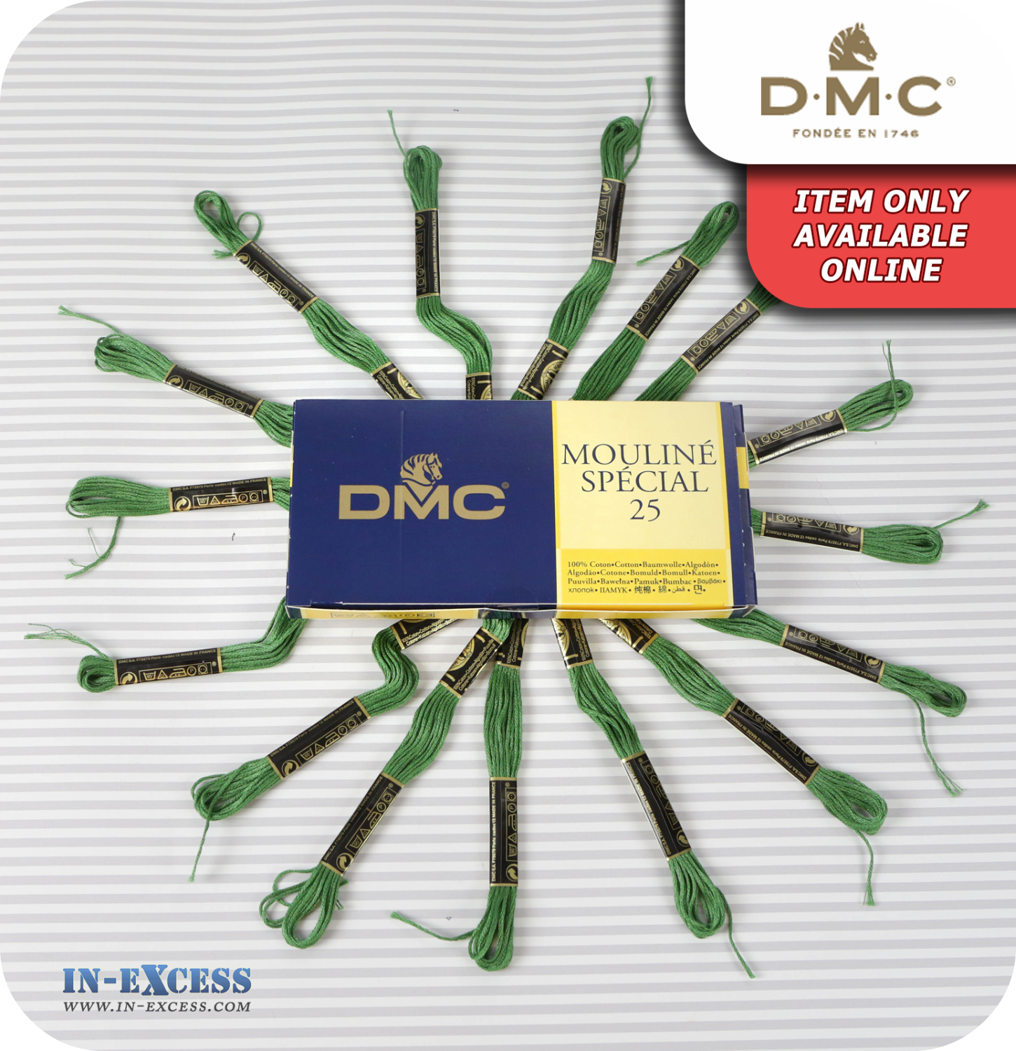 DMC Mouliné Special 25 Cotton Thread - Pack of 16 Skeins (987 Forest Green)