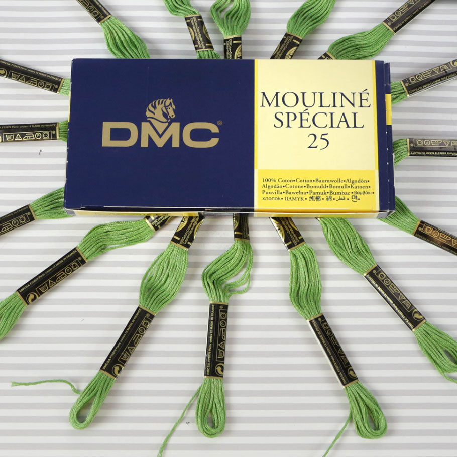 DMC Mouliné Special 25 Cotton Thread - Pack of 16 Skeins (989 Forest Green)