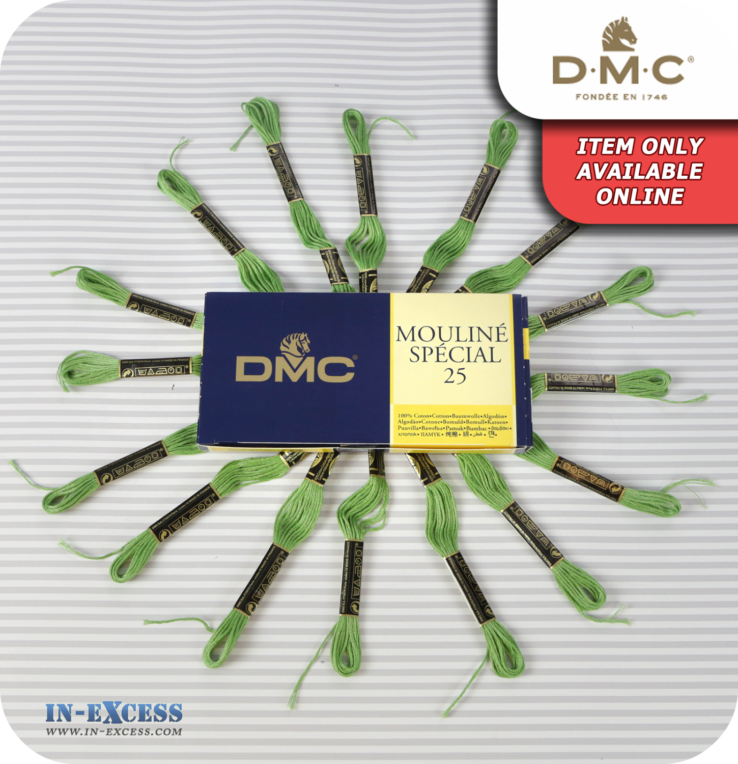 DMC Mouliné Special 25 Cotton Thread - Pack of 16 Skeins (989 Forest Green)