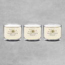Yankee Candle 3 Votive Sets